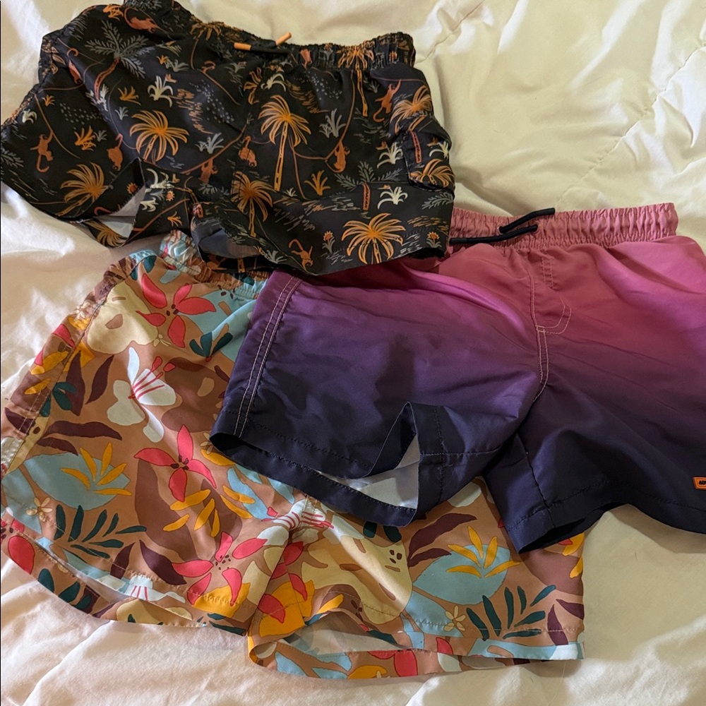 3-Pack Men's Swim Trunks - Black Palm, Purple Ombre, Multicolor Floral